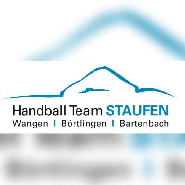 Handball Team Staufen