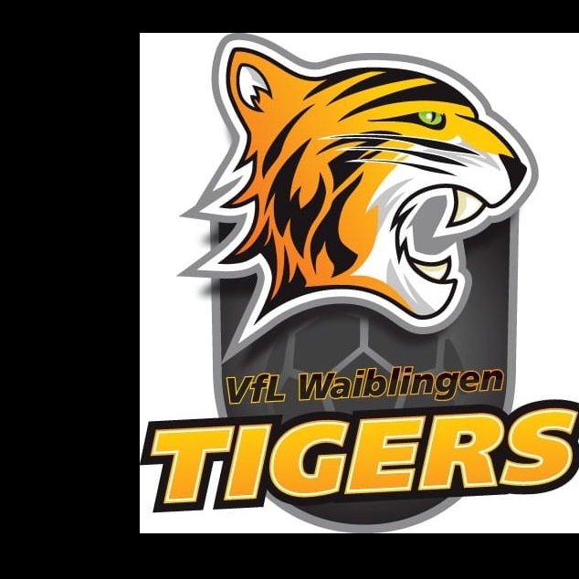 VfL Waiblingen Handball 3